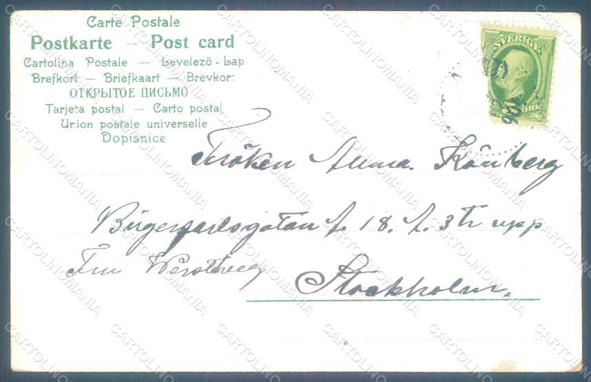 Greetings Christmas Angel Myosotis Flower Winter Relief postcard HR0477 – retro