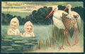 Greetings Birth Children Twins Baby Stork Relief CORNER CREASED postcard HR0643 – fronte