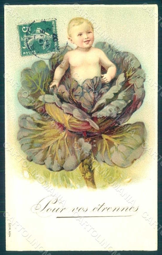 Greetings Birth Child Boy Baby Cabbage serie 604 Relief postcard HR0707 – fronte