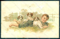 Artist Signed Child Boy Dog Puppies postcard HR0736 – fronte
