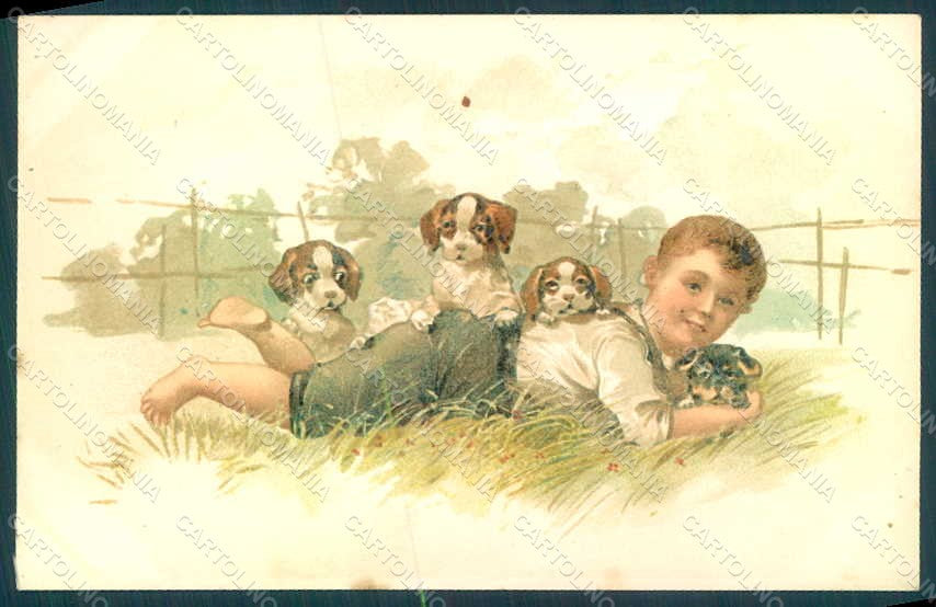 Artist Signed Child Boy Dog Puppies postcard HR0736 – fronte