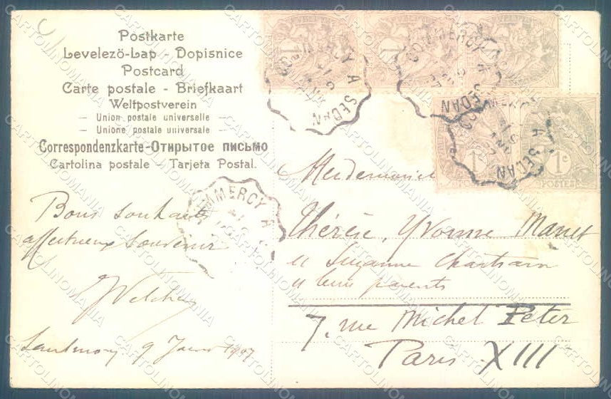 Greetings New Year 1907 Dove Web Flowers Myosotis s. 7755 Relief postcard HR0765 – retro