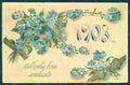 Greetings New Year 1908 Flowers Myosotis Relief postcard HR0767 – fronte