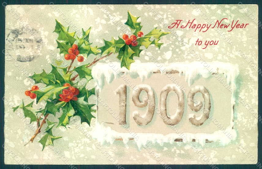 Greetings New Year 1909 Christmas Holly Relief postcard HR0769 – fronte