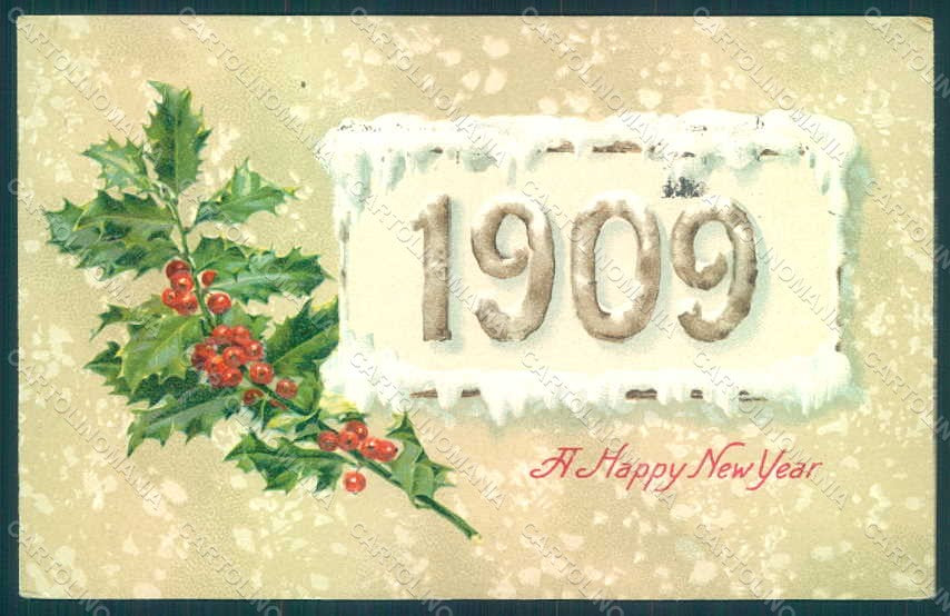 Greetings New Year 1909 Christmas Holly Relief postcard HR0771 – fronte