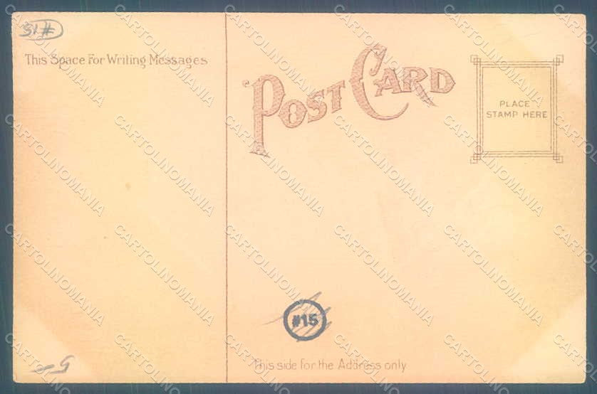 Greetings New Year Calendar 1910 Holly Relief postcard HR0791 – retro