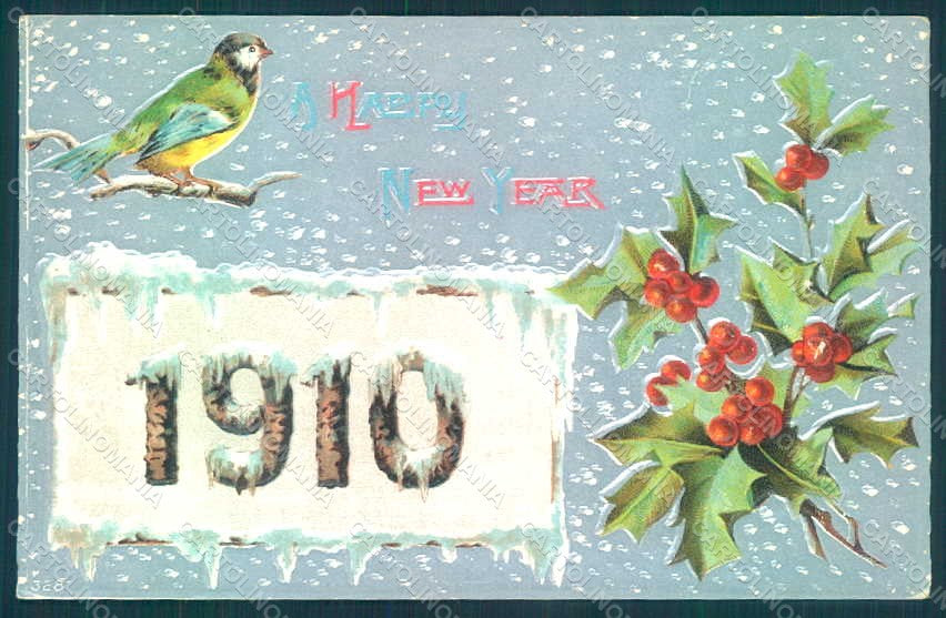 Greetings New Year 1910 Flowers Bird Holly Relief postcard HR0792 – fronte