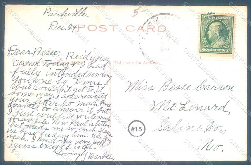 Greetings New Year 1910 Flowers Bird Holly Relief postcard HR0792 – retro