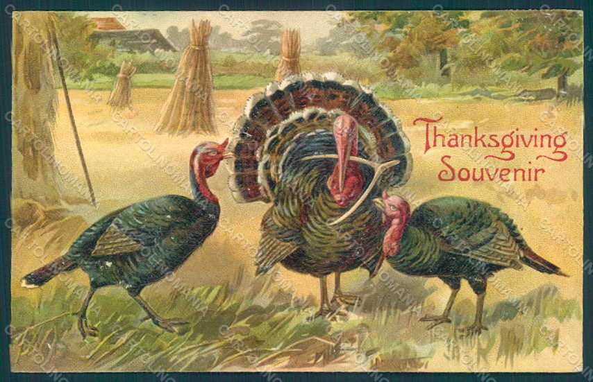 Greetings Thanksgiving Turkey Relief postcard HR0800 – fronte