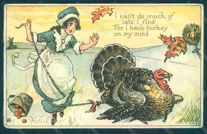 Greetings Lady Thanksgiving Turkey WRINKLES postcard HR0805 – fronte