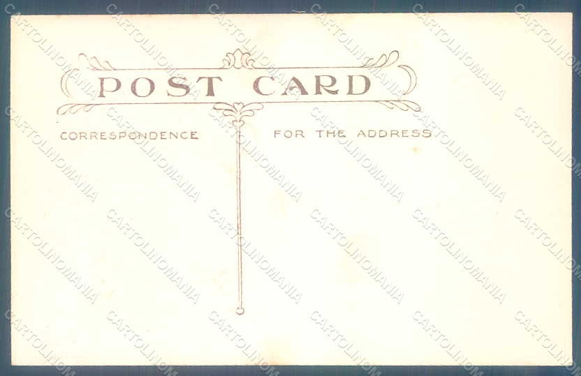 Greetings Thanksgiving Turkey Parrot Relief postcard HR0807 – retro
