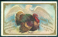 Greetings Thanksgiving Turkey Relief postcard HR0808 – fronte