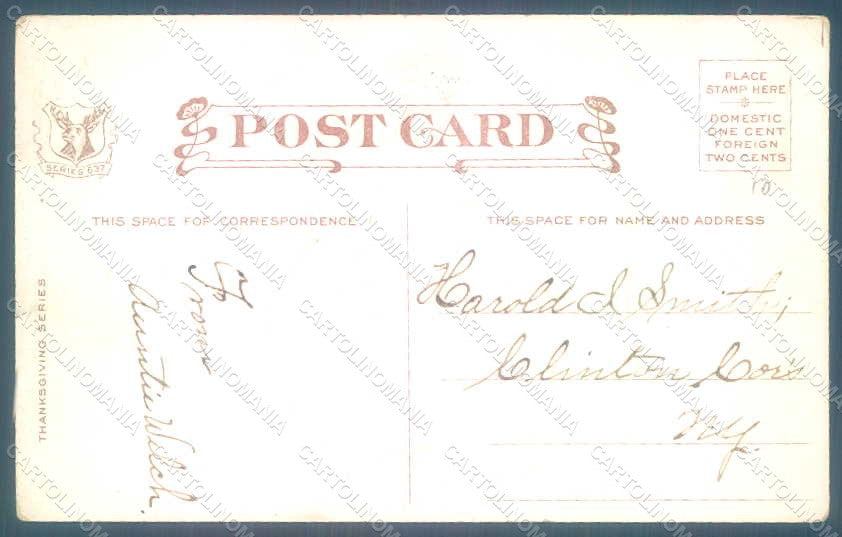 Greetings Thanksgiving Turkey Relief postcard HR0808 – retro
