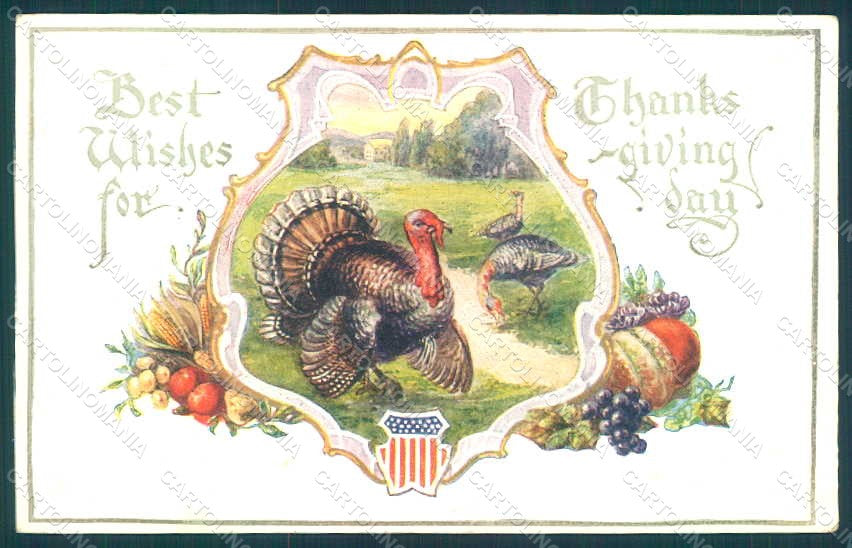 Greetings Thanksgiving Turkey serie t14 Relief postcard HR0810 – fronte