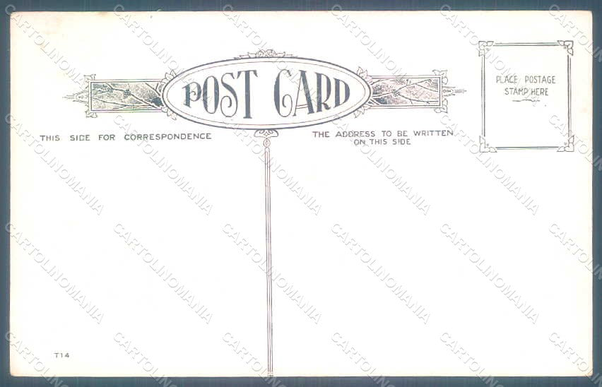 Greetings Thanksgiving Turkey serie t14 Relief postcard HR0810 – retro