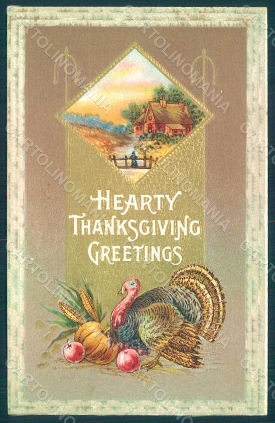 Greetings Thanksgiving Pumpkin Turkey serie 33c Relief postcard HR0811 – fronte