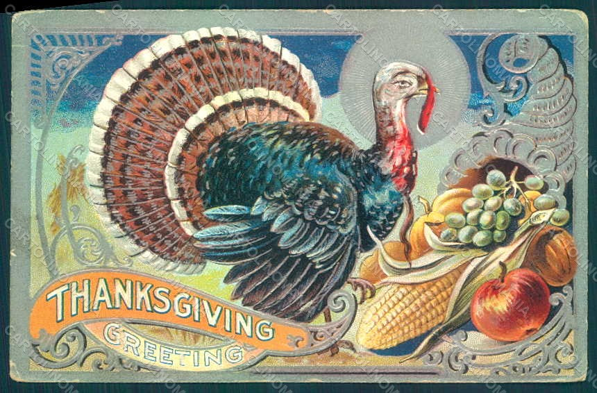 Greetings Thanksgiving Turkey Relief postcard HR0818 – fronte