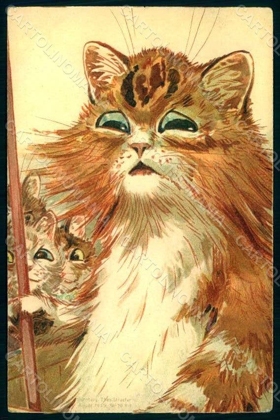 Artist Signed Wain L. Anthropomorphic Cat Theo Stroefer 79 postcard HR1022 – fronte