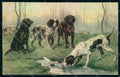 Artist Signed Hunter Dog Breton Setter MM Vienne 318 postcard HR1184 – fronte