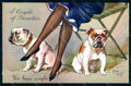 Artist Signed Tom Gay Lady Socks Shoes English Bulldog Dog serie 1 pc HR1274 – fronte