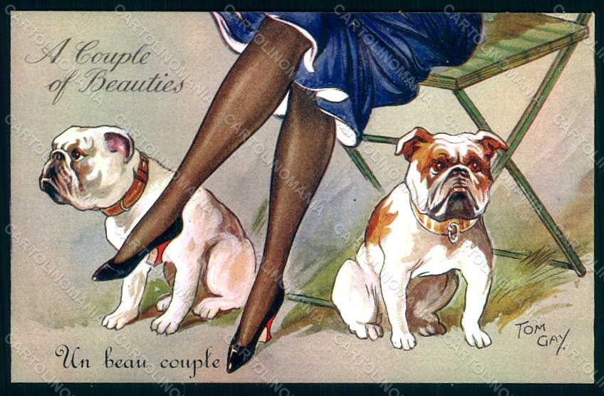 Artist Signed Tom Gay Lady Socks Shoes English Bulldog Dog serie 1 pc HR1274 – fronte
