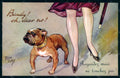 Artist Signed Tom Gay Lady Socks Shoes English Bulldog Dog serie 1 pc HR1276 – fronte