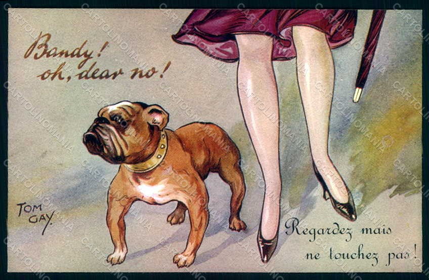 Artist Signed Tom Gay Lady Socks Shoes English Bulldog Dog serie 1 pc HR1276 – fronte
