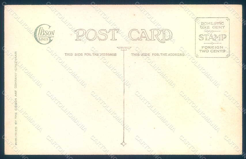 Artist Signed Manning F. S. Glamour Fashion Lady Mode Gibson postcard HR1495 – retro