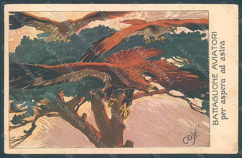 Artist Signed Cambellotti Battaglione Aviatori WWI CORNER CREASE postcard HR2056 – fronte