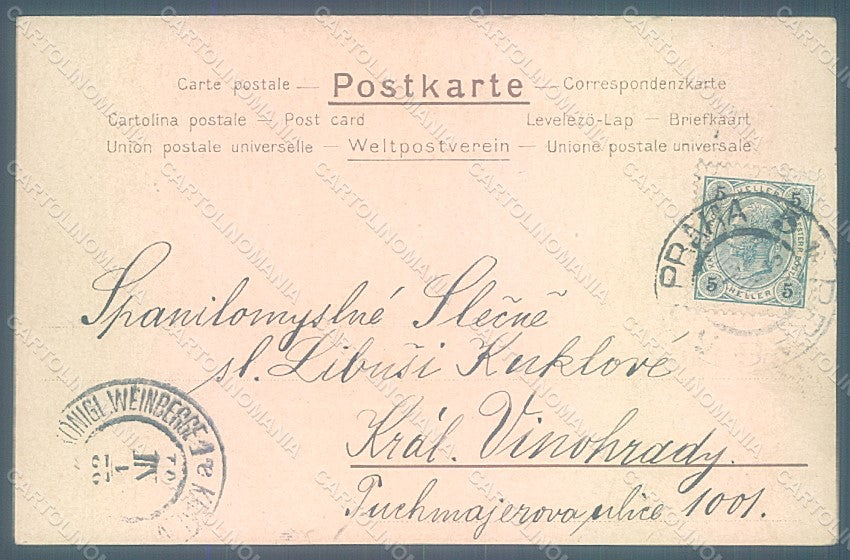Artist Signed Hey Paul Man Spitz Dog Morgenspaziergang postcard HR2206 – retro