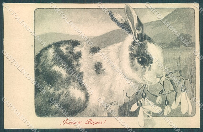 Artist Signed Viennoise M.M. Vienne 261 postcard HR3071 – fronte