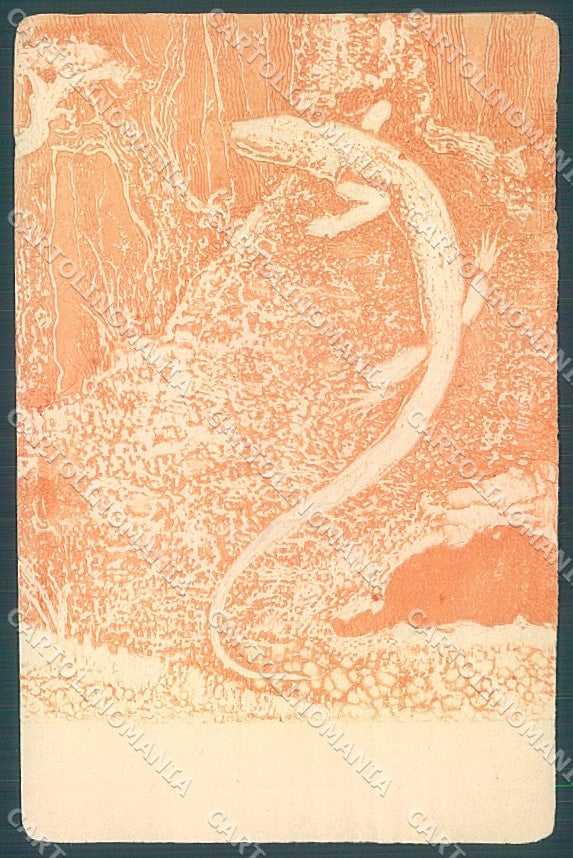 Artist Signed Viennoise M.M. Vienne postcard HR3090 – fronte