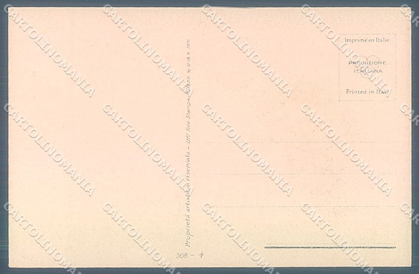 Artist Signed Nanni Fashion Lady Hairstyle serie 308-4 postcard HR3158 – retro