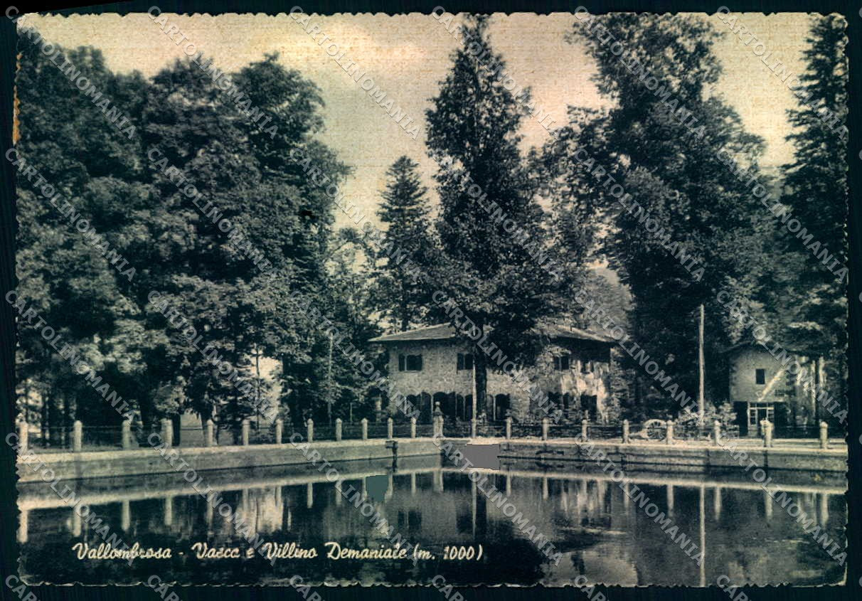 Firenze Vallombrosa Vasca Villino Demaniale FG cartolina JK0003 – fronte