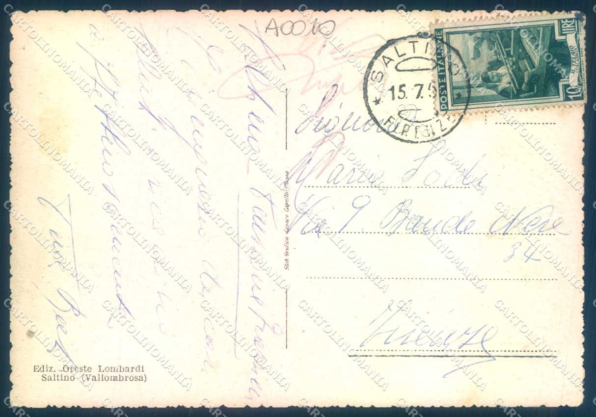Firenze Vallombrosa Vasca Villino Demaniale FG cartolina JK0003 – retro