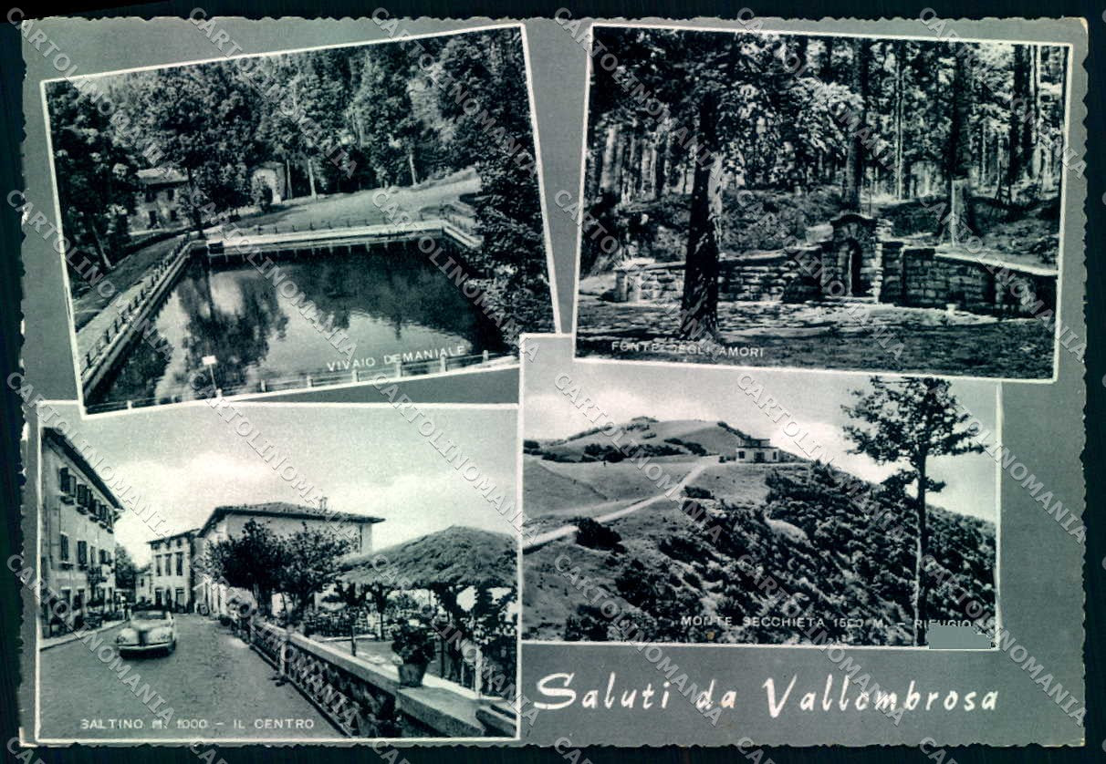 Firenze Vallombrosa Panorama saluti da Foto FG cartolina JK0005 – fronte