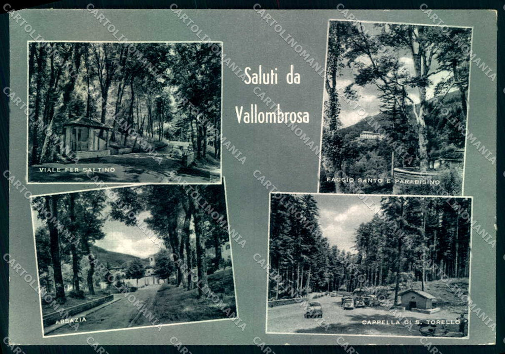 Firenze Vallombrosa Panorama saluti da Foto FG cartolina JK0006 – fronte
