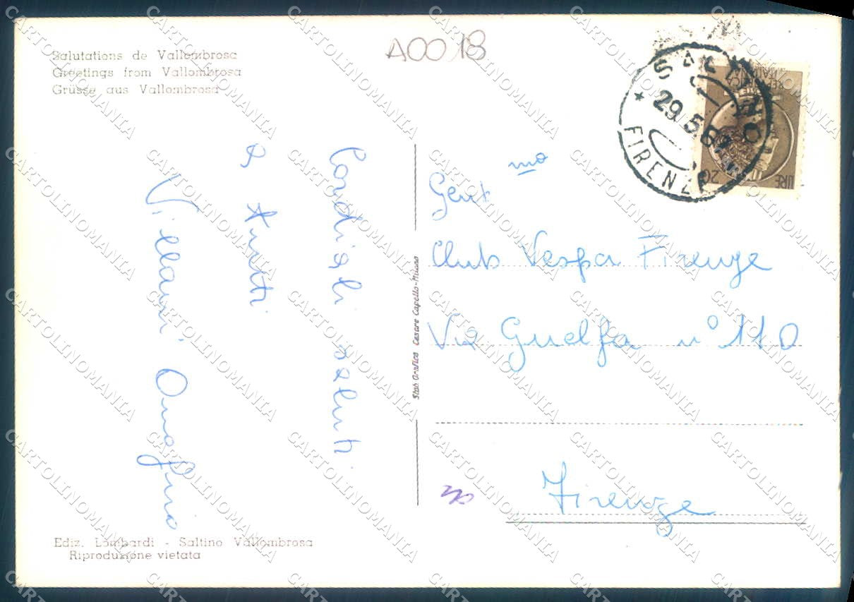 Firenze Vallombrosa Panorama saluti da Foto FG cartolina JK0006 – retro