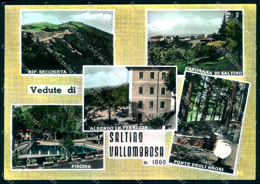 Firenze Saltino Vallombrosa Albergo Le Terrazze Foto FG cartolina JK0015 – fronte