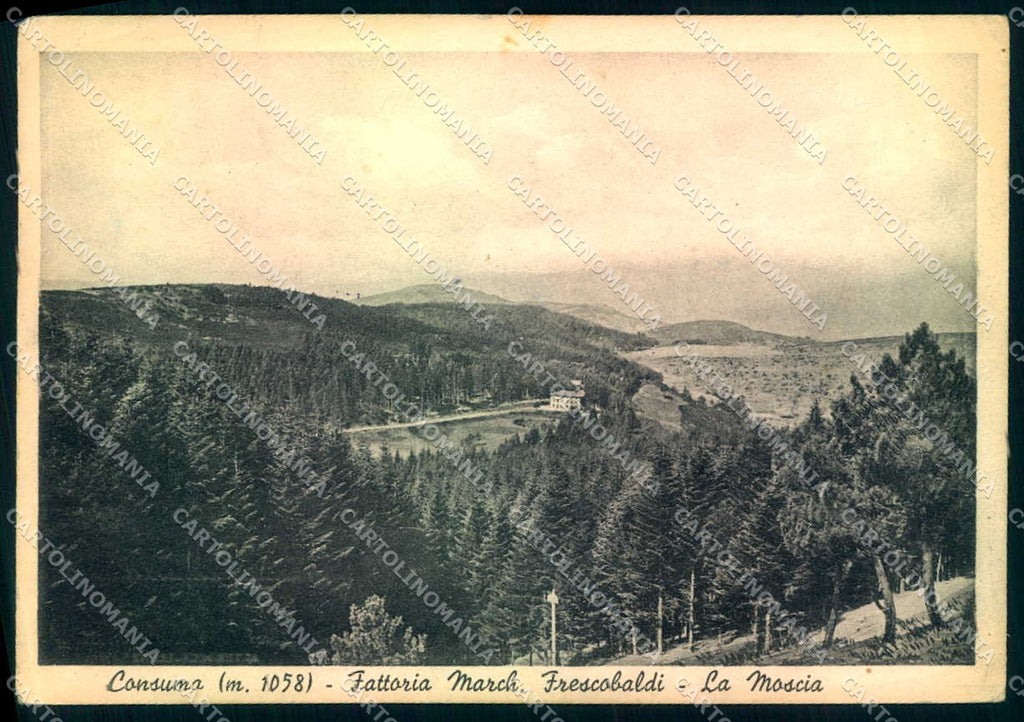 Firenze Consuma Panorama Alterocca 9573-49 FG cartolina JK0016 – fronte