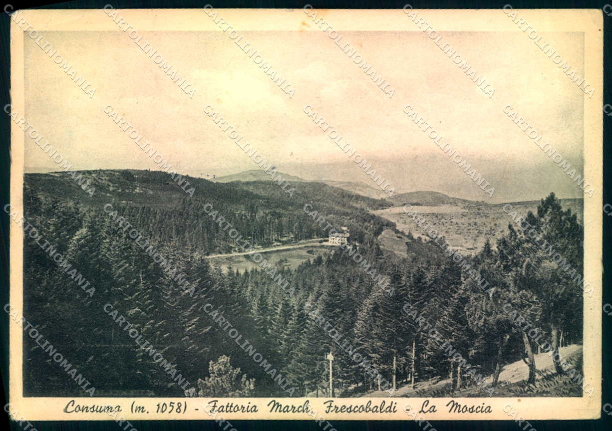 Firenze Consuma Panorama Alterocca 9573-49 FG cartolina JK0016 – fronte