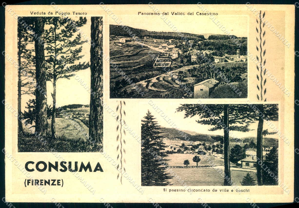 Firenze Consuma Panorama FG cartolina JK0020 – fronte