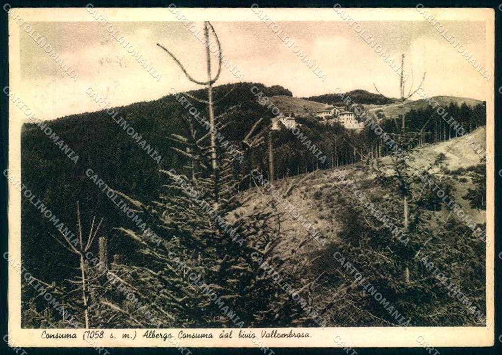 Firenze Consuma Panorama PIEGHINA FG cartolina JK0023 – fronte