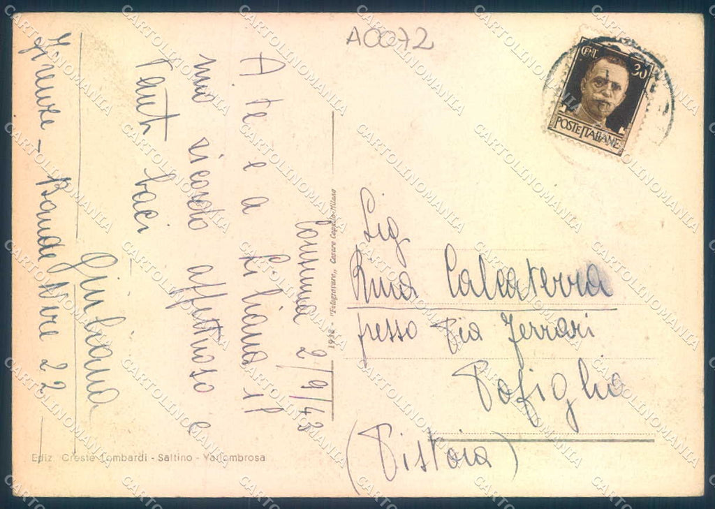 Firenze Consuma Panorama PIEGHINA FG cartolina JK0023 – retro