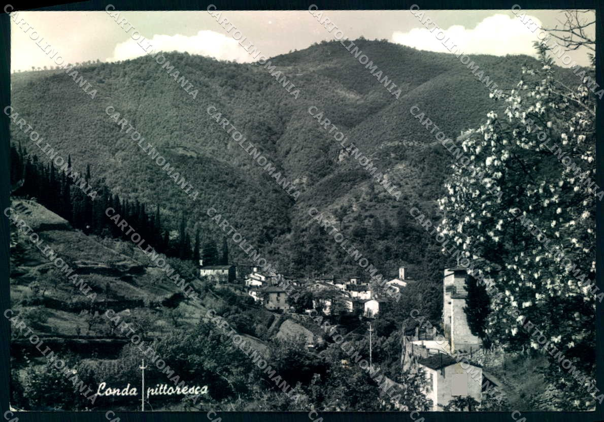 Firenze Londa Panorama Alterocca 26703 Foto FG cartolina JK0041 – fronte