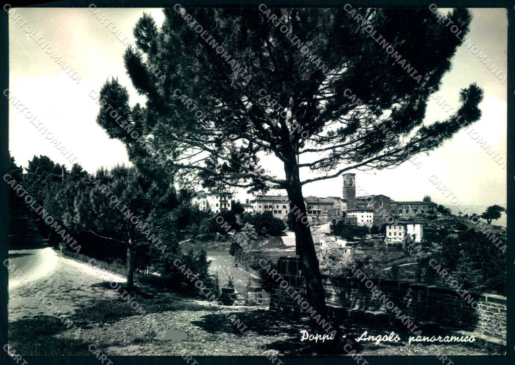Arezzo Poppi Alterocca 63843 Foto FG cartolina JK0068 – fronte