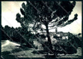Arezzo Poppi Alterocca 63843 Foto FG cartolina JK0068 – fronte