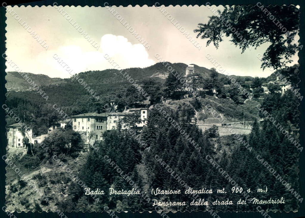 Arezzo Badia Prataglia Foto FG cartolina JK0069 – fronte