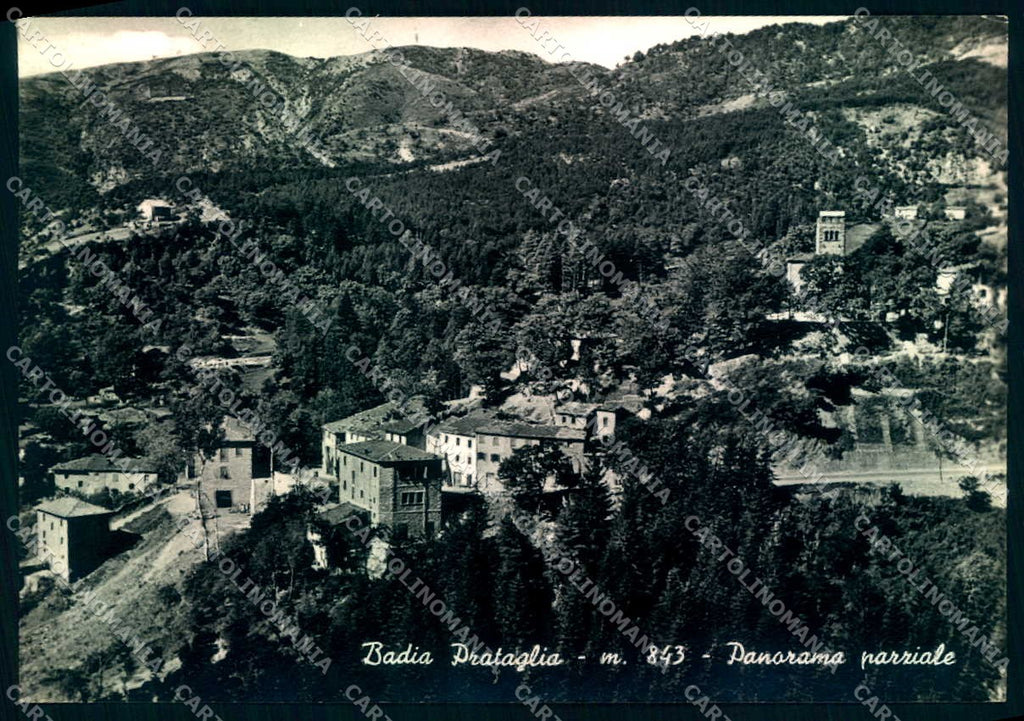 Arezzo Badia Prataglia Foto FG cartolina JK0070 – fronte