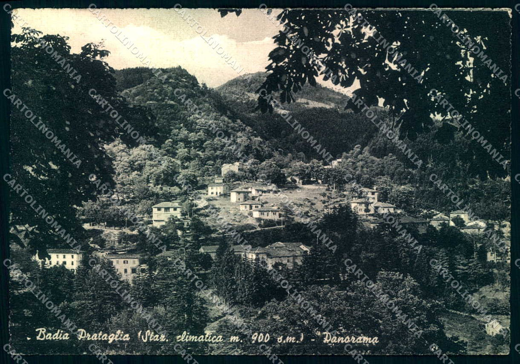 Arezzo Badia Prataglia FG cartolina JK0071 – fronte